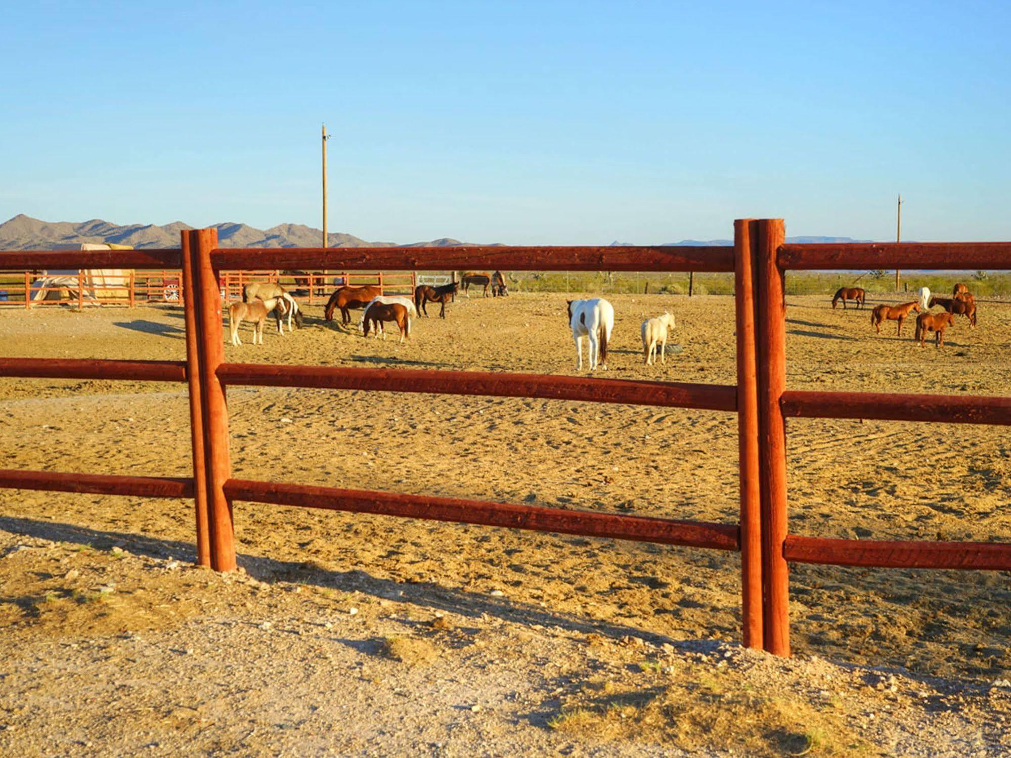 Stagecoach Trails Guest Ranch Resort