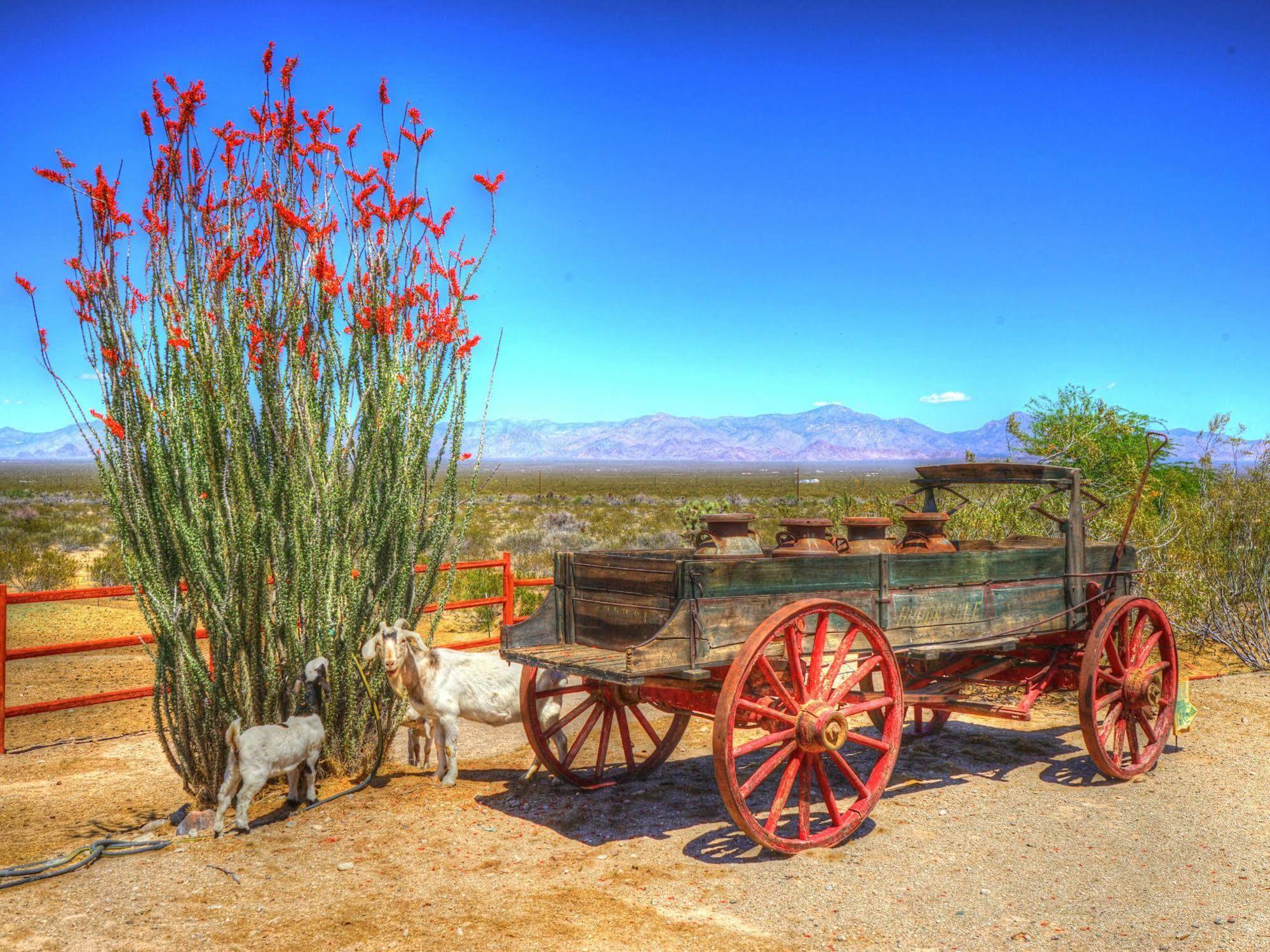 Resort Stagecoach Trails Guest Ranch