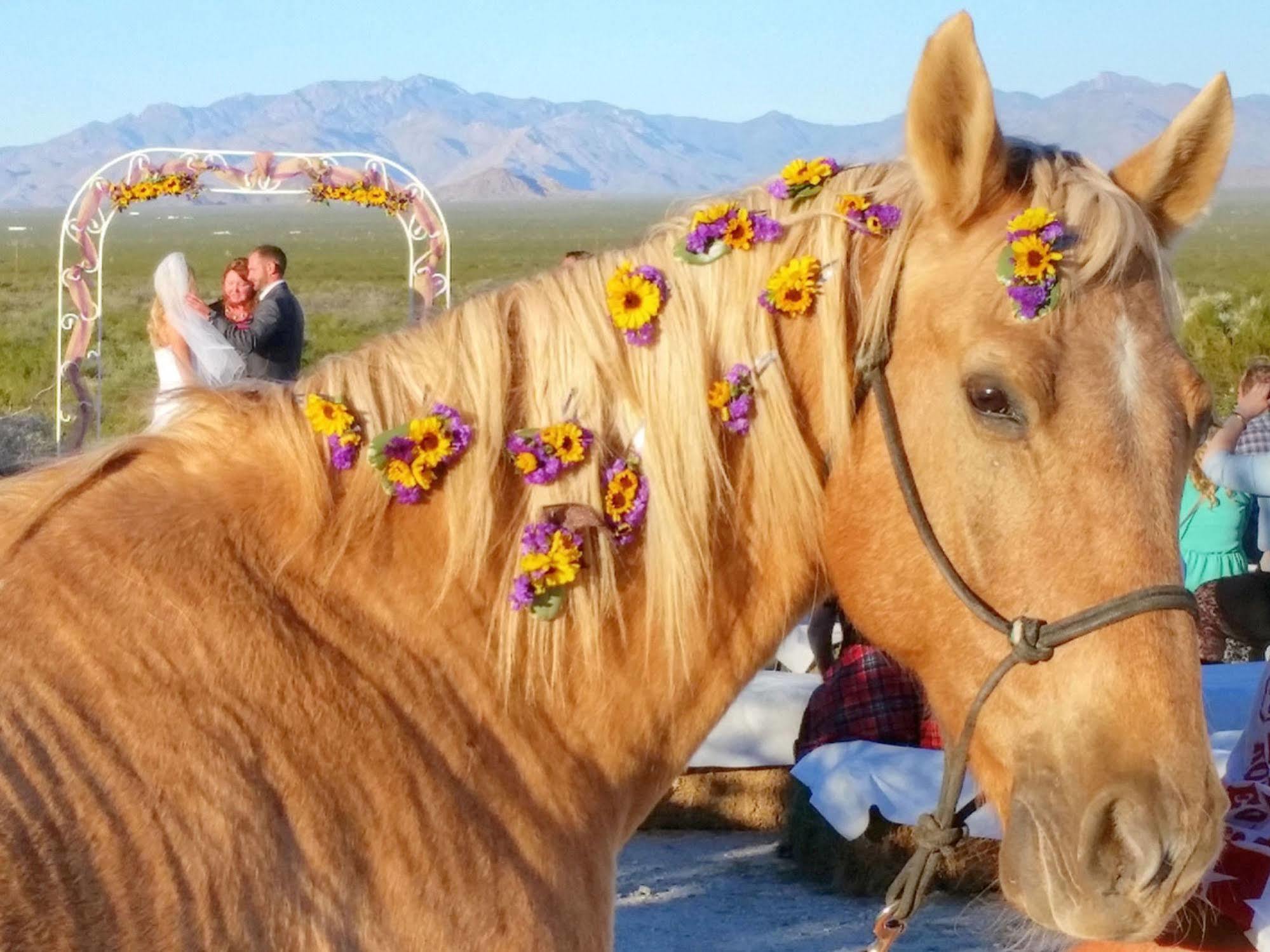 Resort Stagecoach Trails Guest Ranch