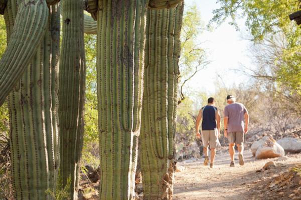 Canyon Ranch 4* Tucson