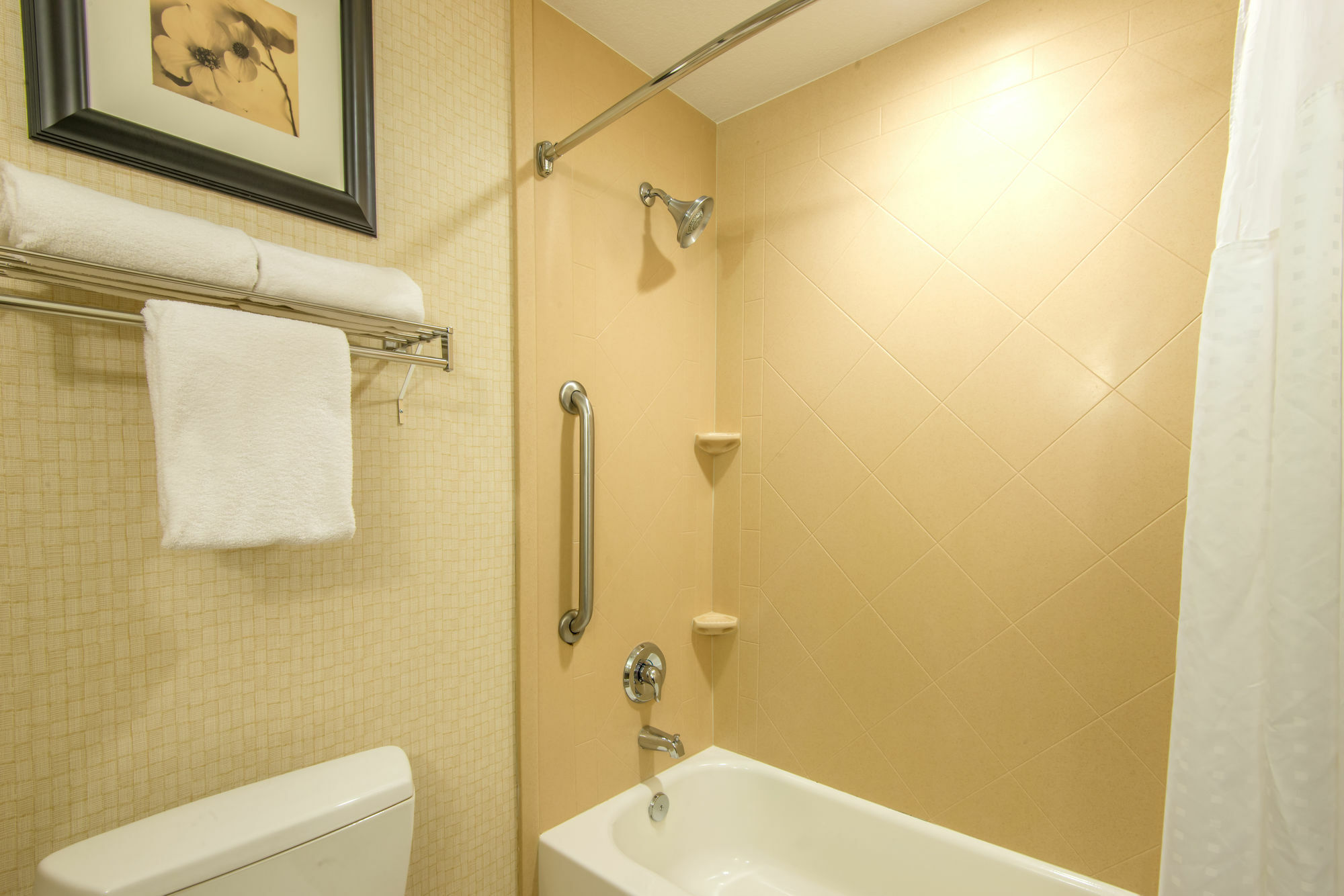 Express & Phoenix Dist By Ihg Hotel