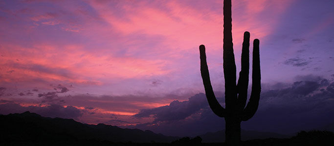 Resort Canyon Ranch 4*