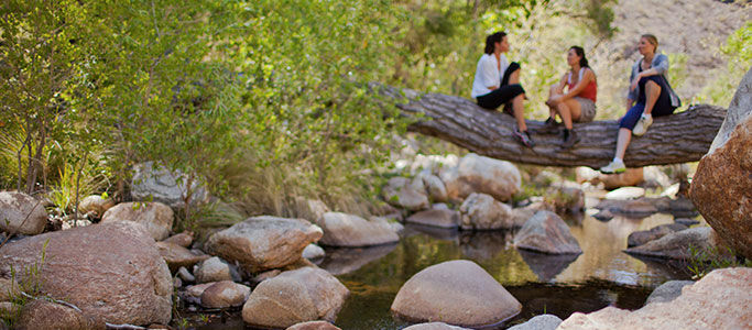 Canyon Ranch Resort