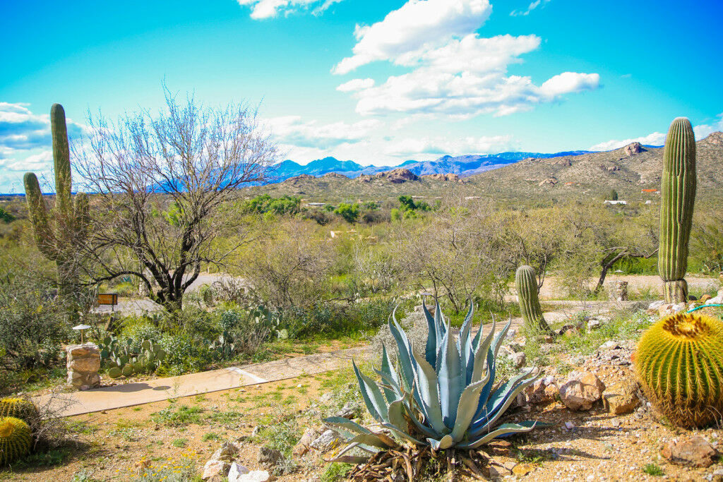 Tanque Guest Ranch