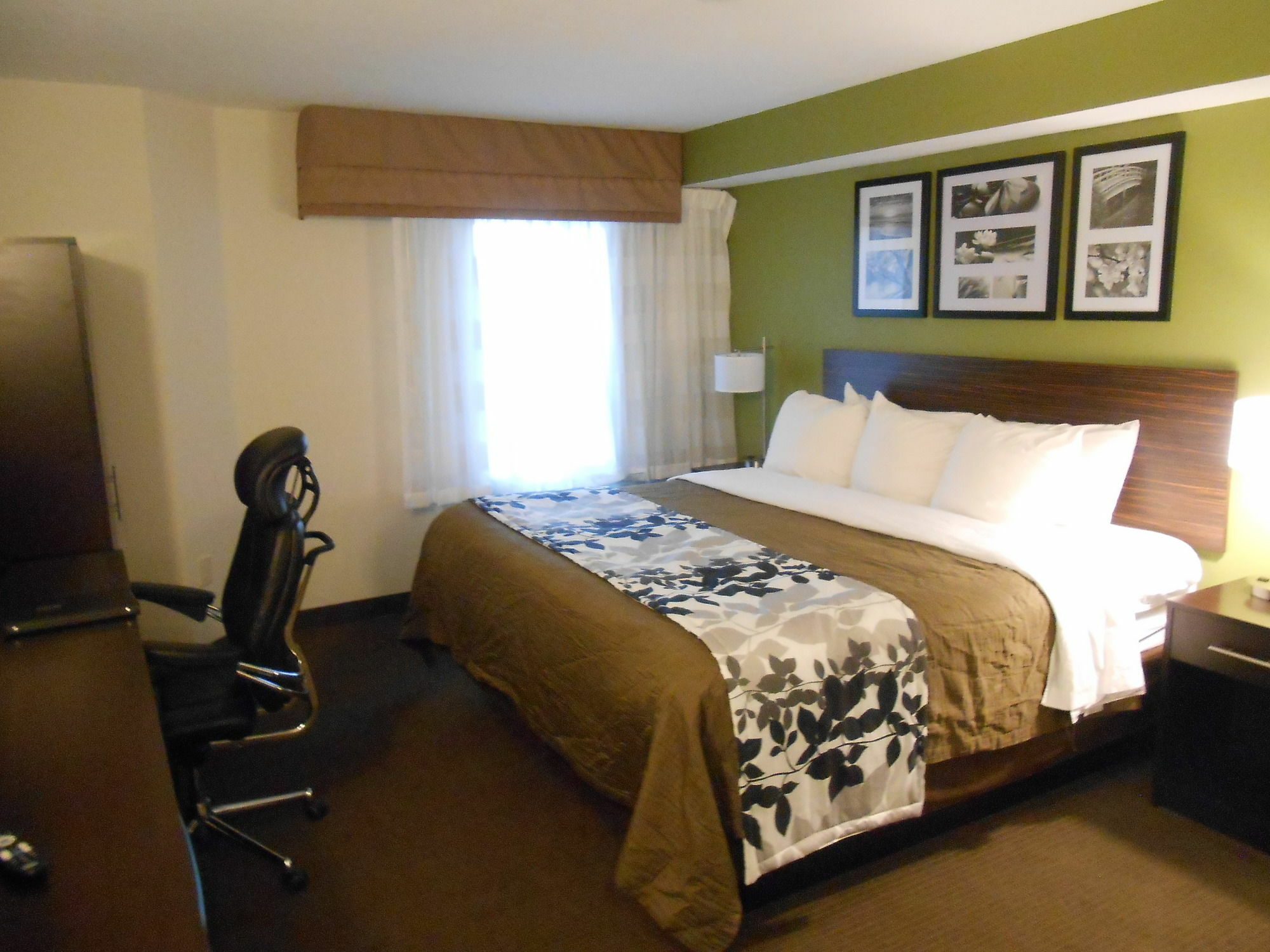 Hotel Surestay By Western Superstition Springs Mesa