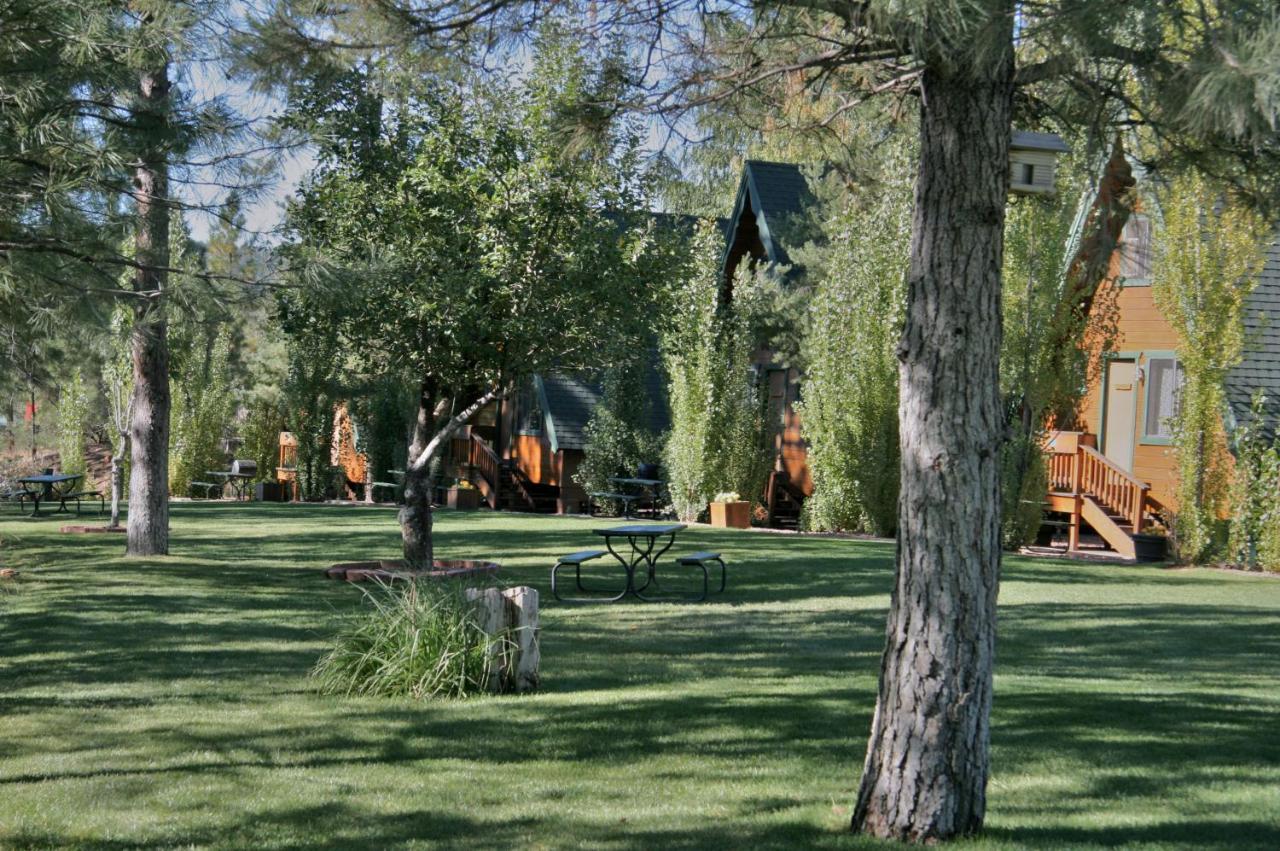 Cabins On Strawberry Hill Pine