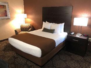 Western Innsuites Foothills &