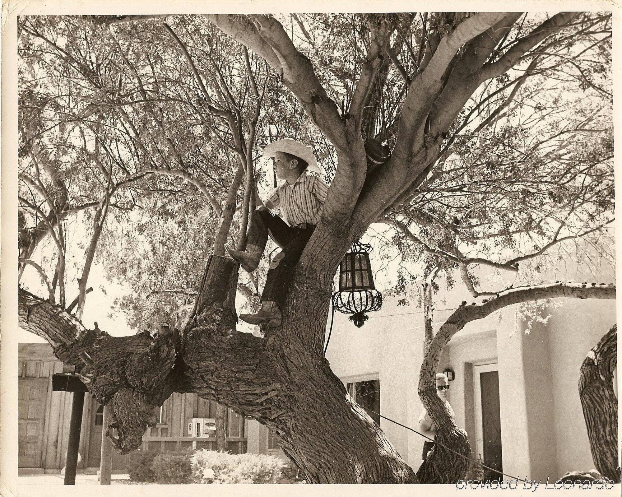 White Stallion Ranch Bed & Breakfast Tucson