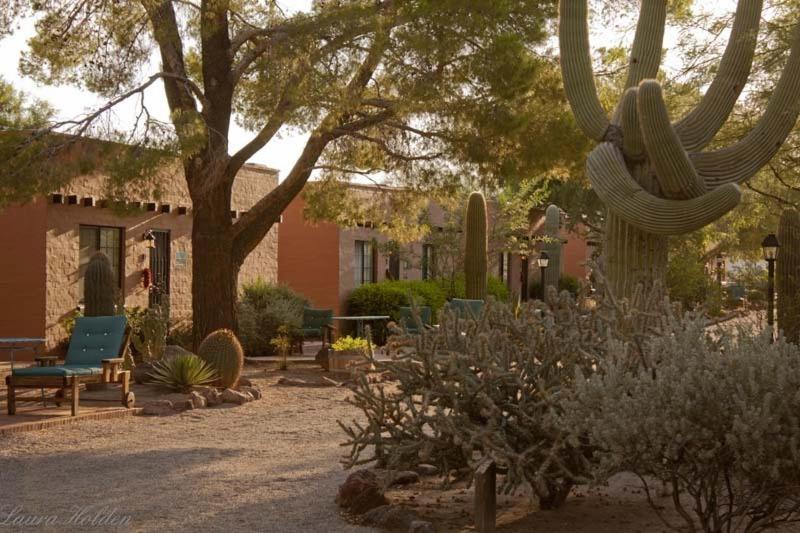 Bed & Breakfast White Stallion Ranch Tucson