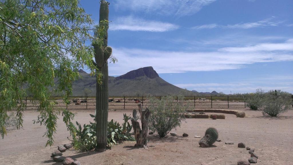 White Stallion Ranch