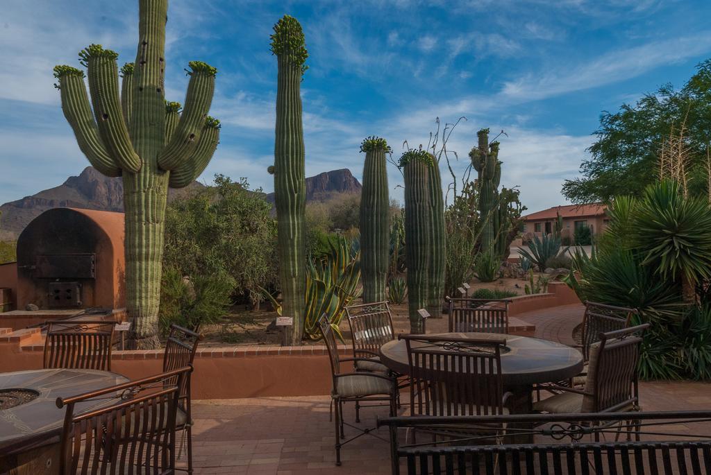 White Stallion Ranch 4*