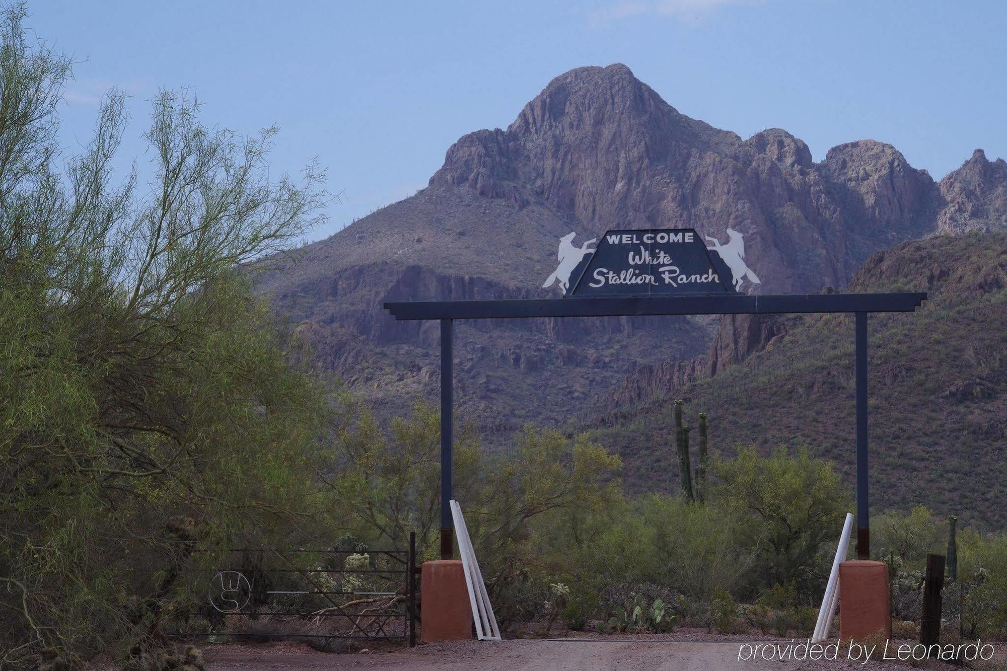 Bed & Breakfast White Stallion Ranch 4*