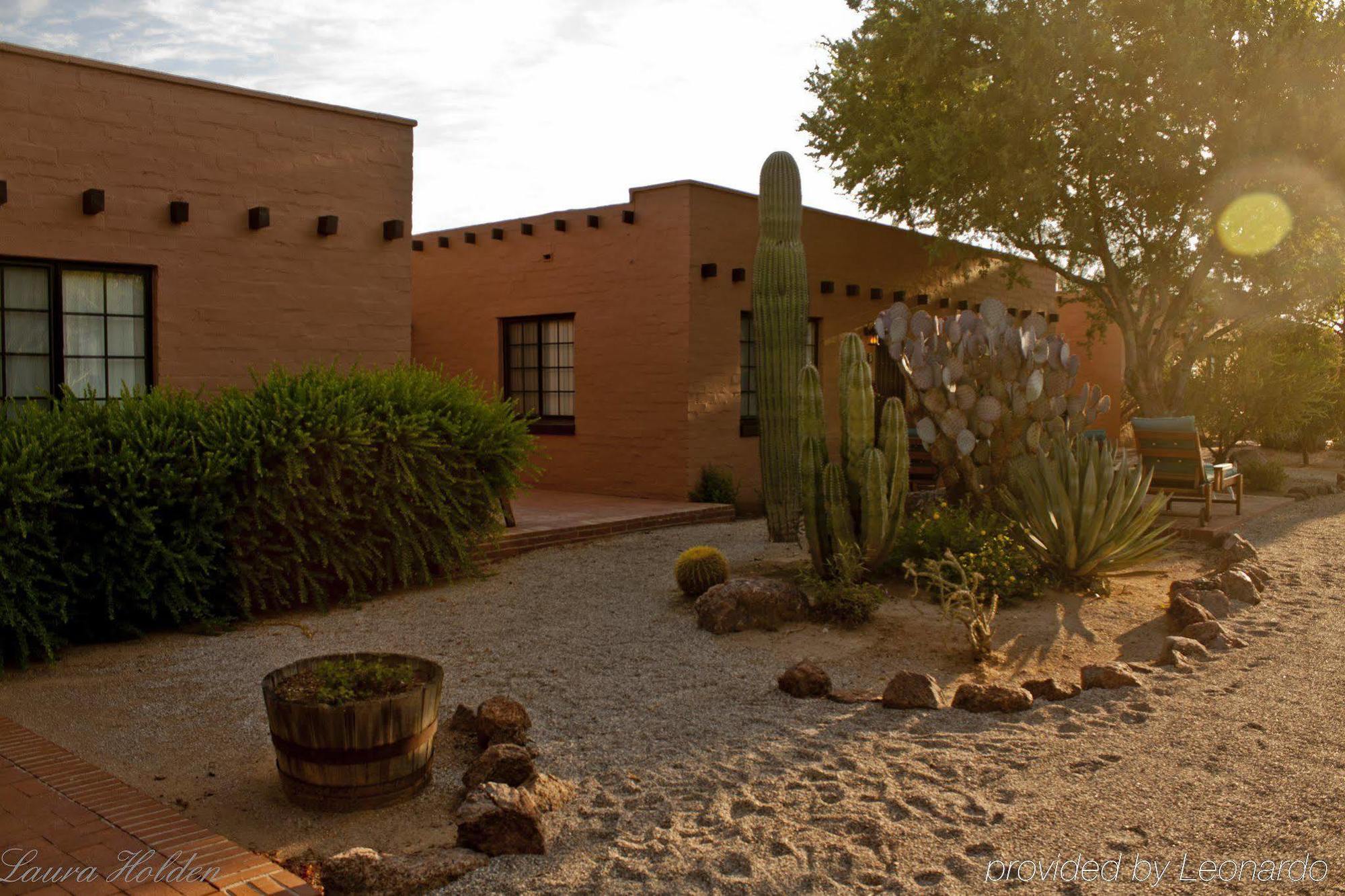 White Stallion Ranch Bed & Breakfast Tucson