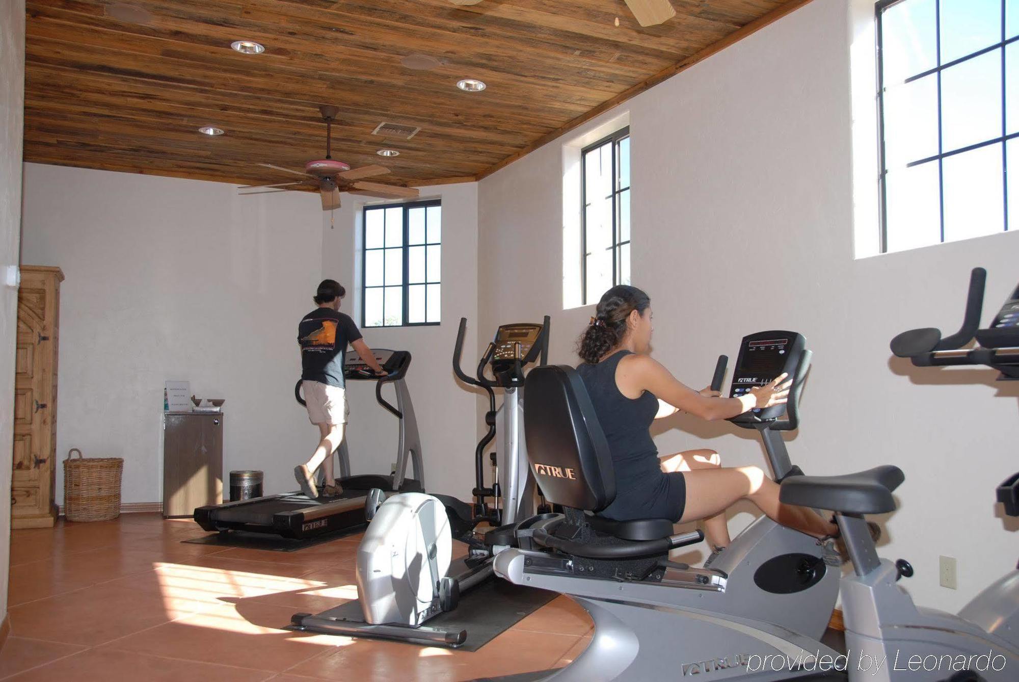 White Stallion Ranch Bed & Breakfast Tucson