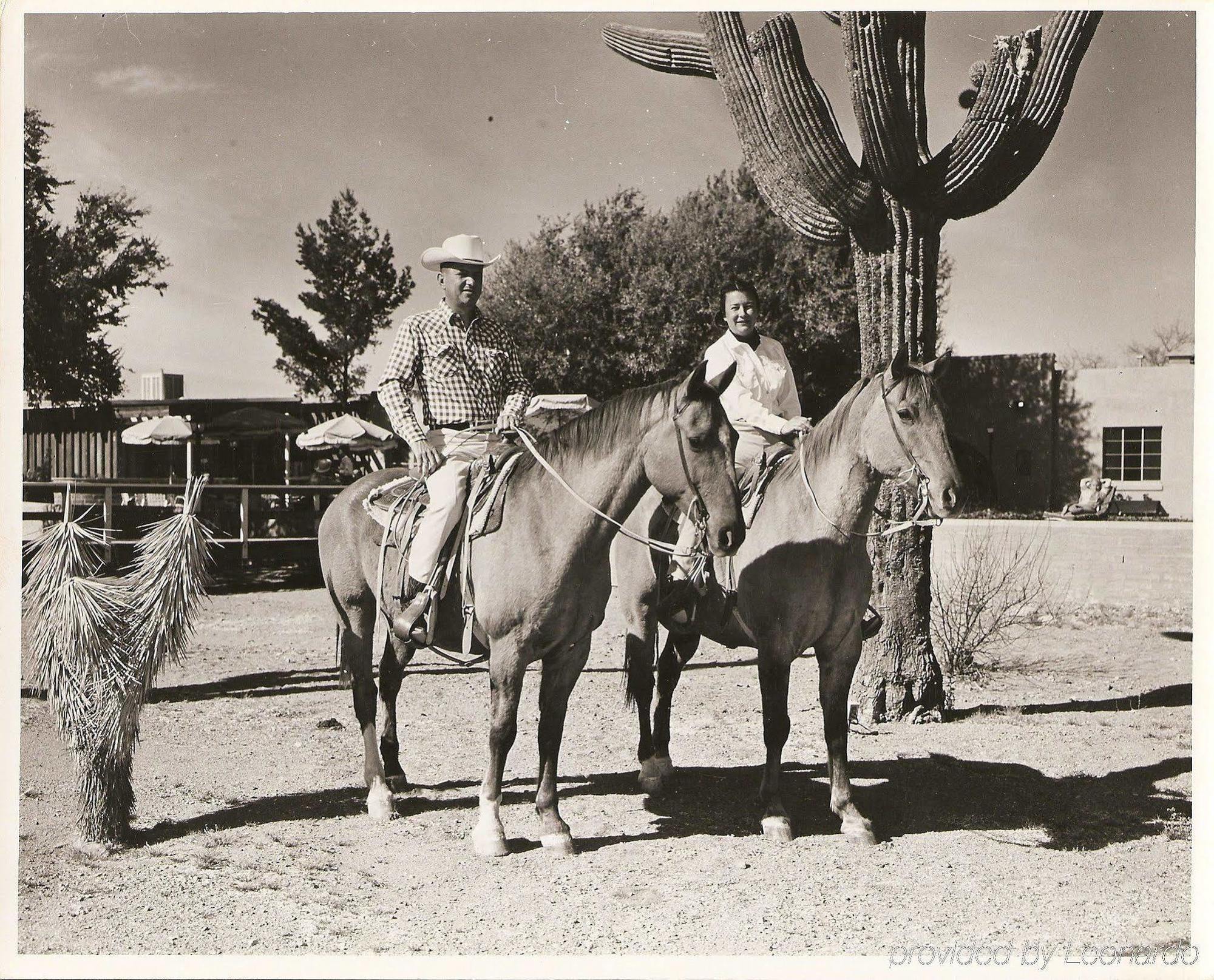 White Stallion Ranch Tucson