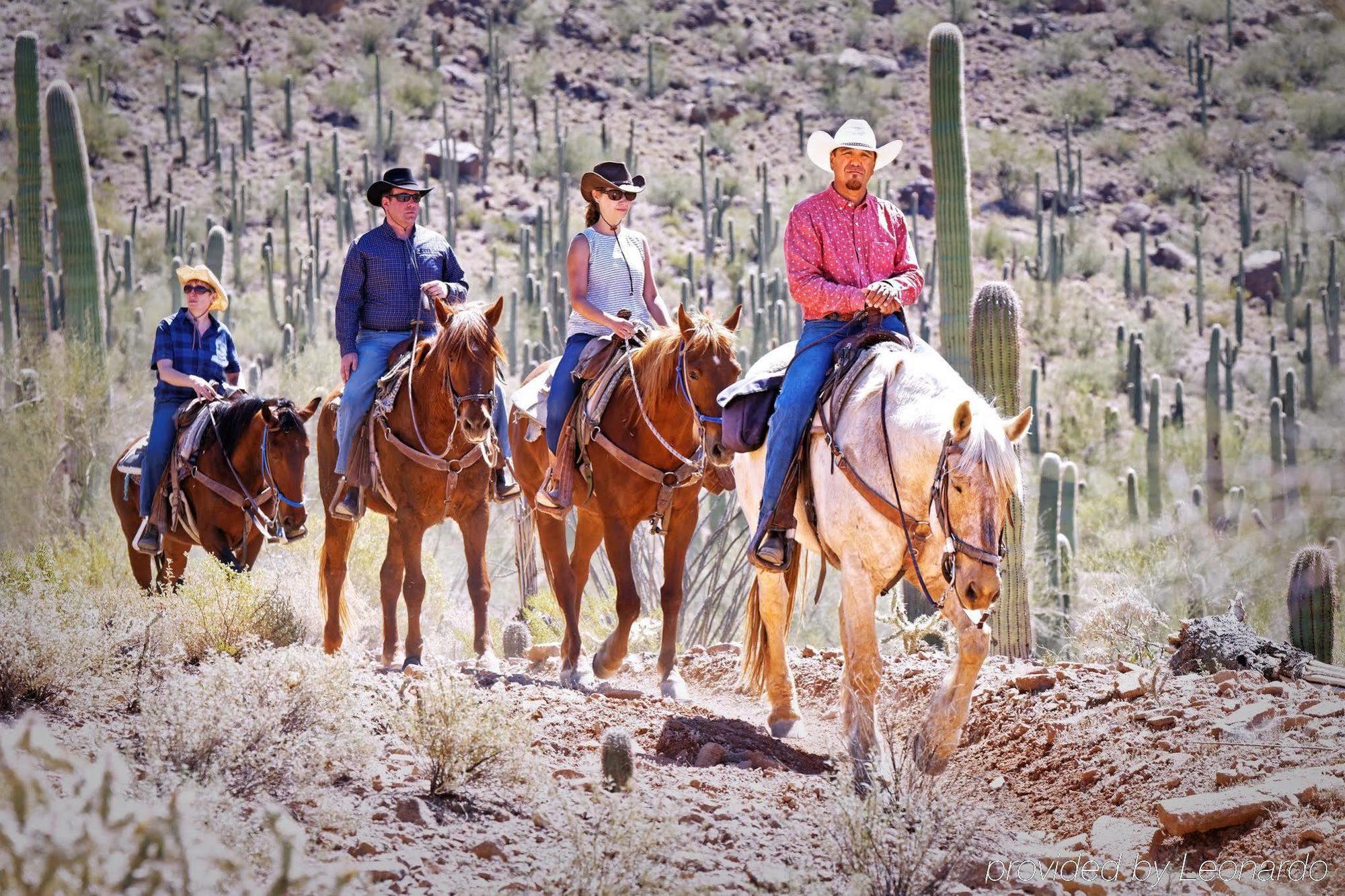 White Stallion Ranch Bed & Breakfast 4*