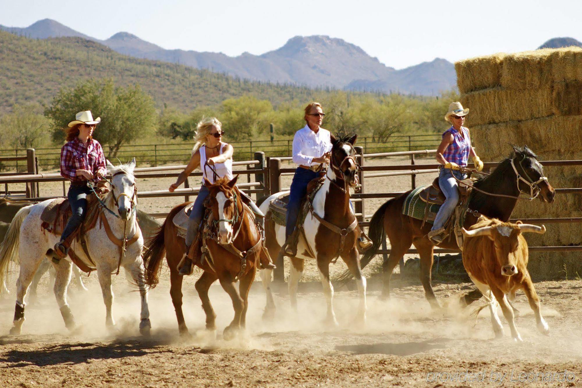 White Stallion Ranch