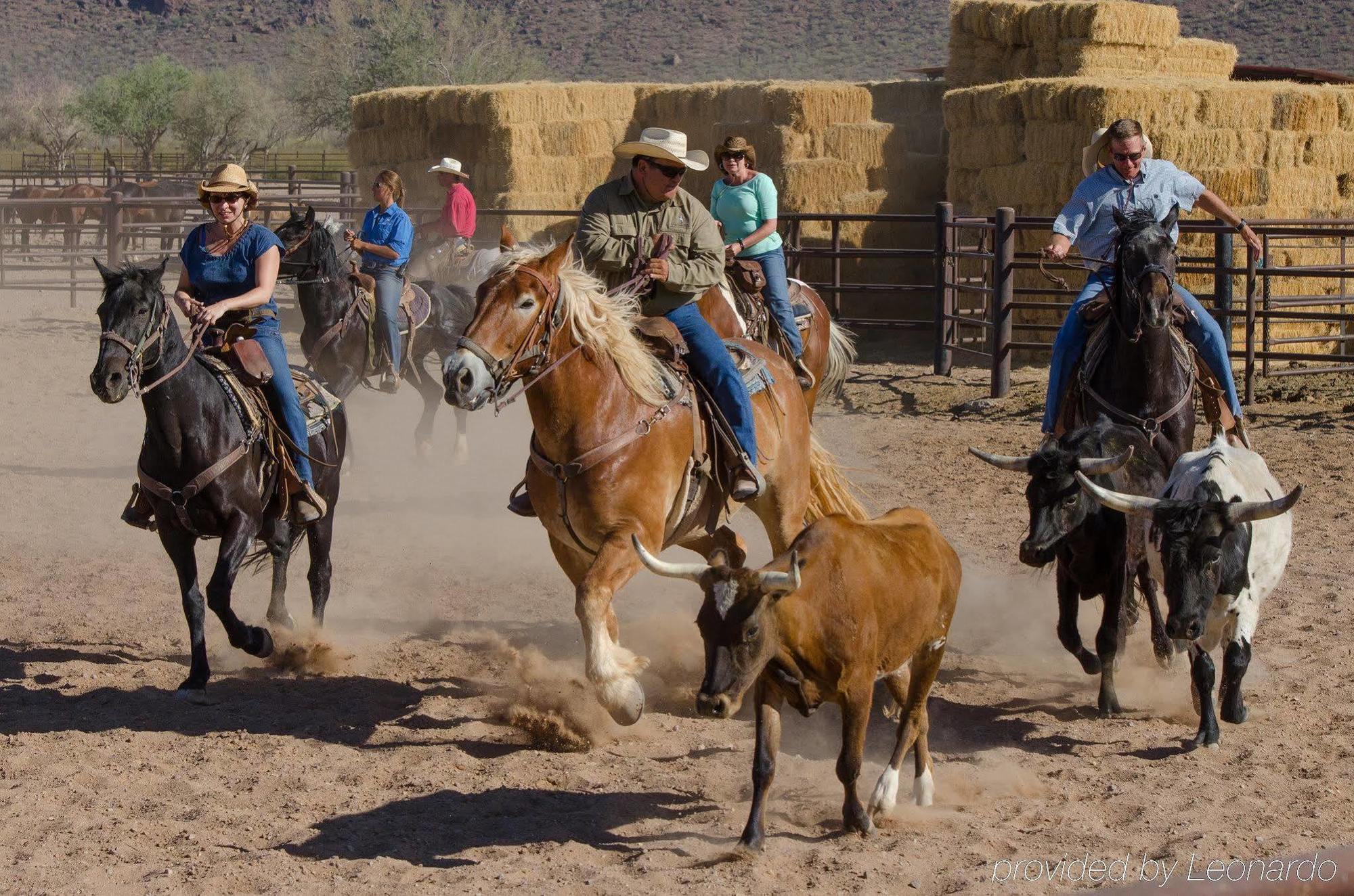 White Stallion Ranch Bed & Breakfast 4*