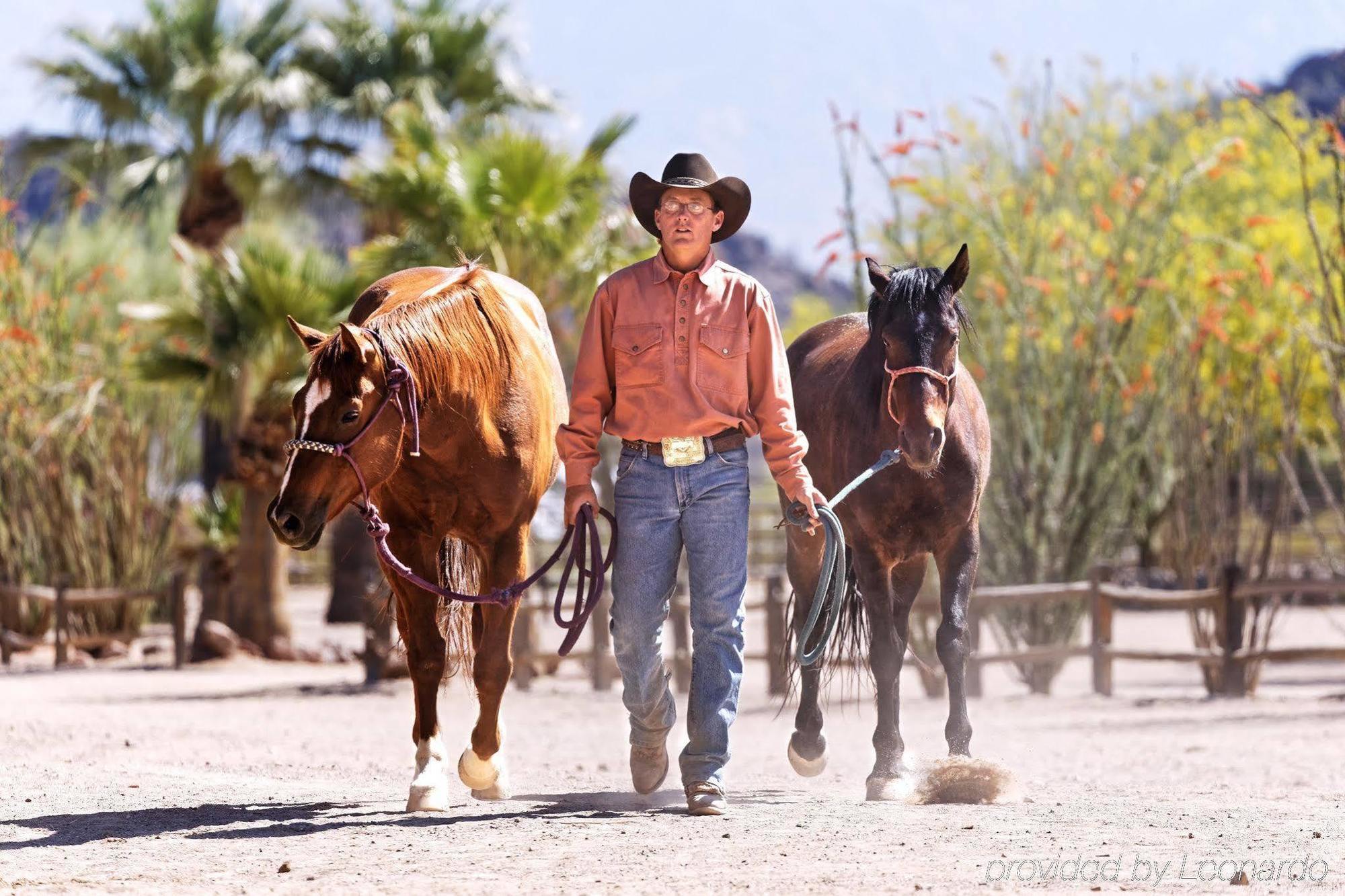 Bed & Breakfast White Stallion Ranch 4*