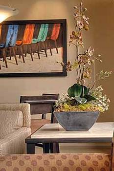 Casitas At Sabino Springs 3*