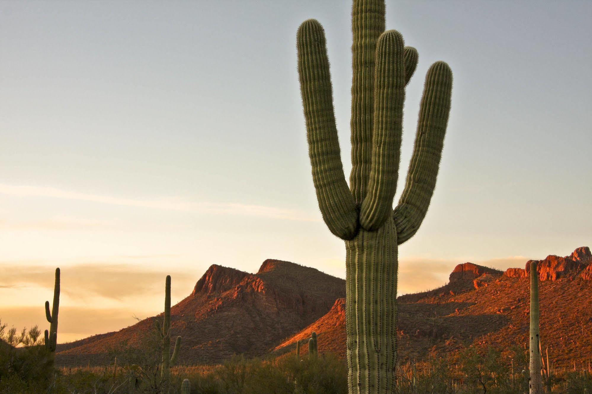 Marriott Park Hotel Tucson