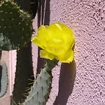 Adobe Rose Inn