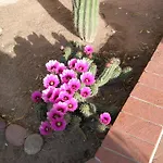 Adobe Rose Inn
