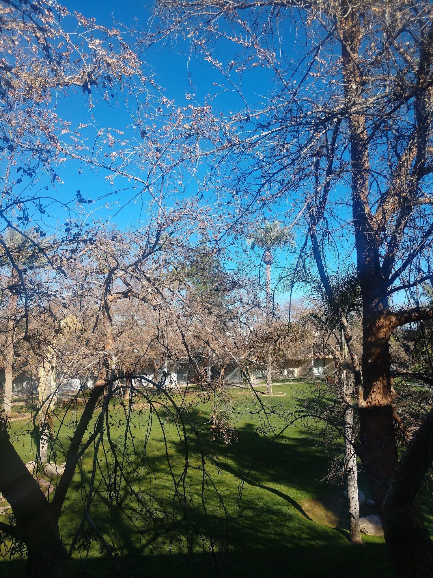 Hotel Windemere & Conference Center Mesa