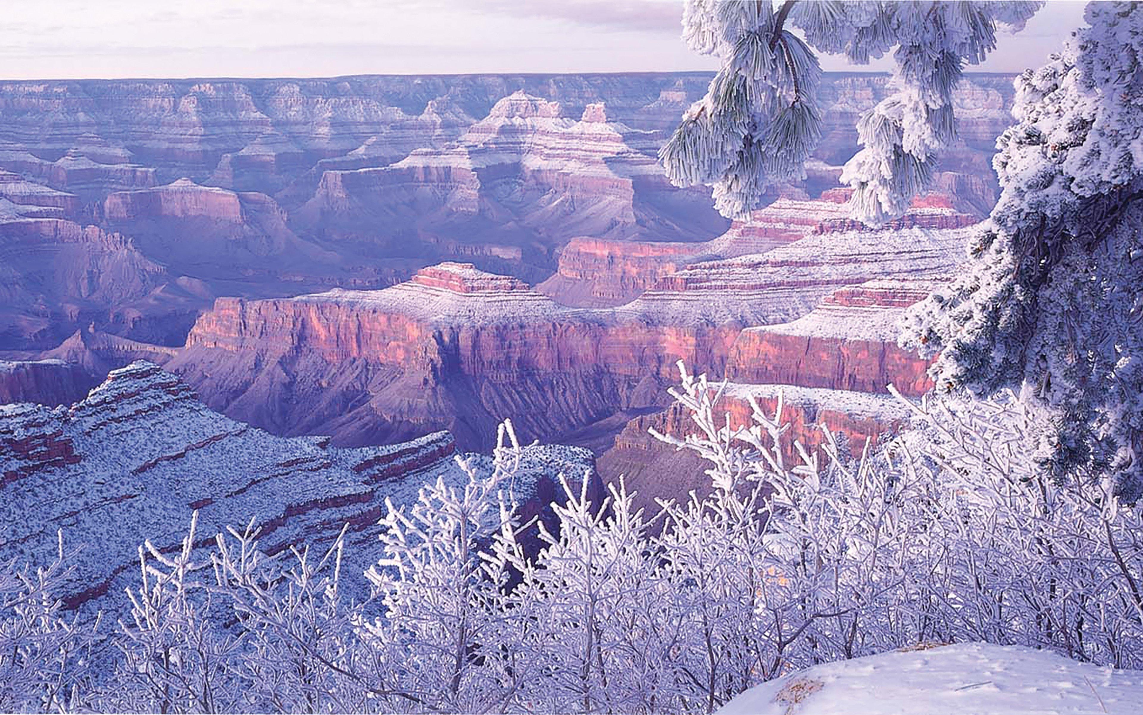 Express & Grand Canyon By Ihg Hotel Tusayan