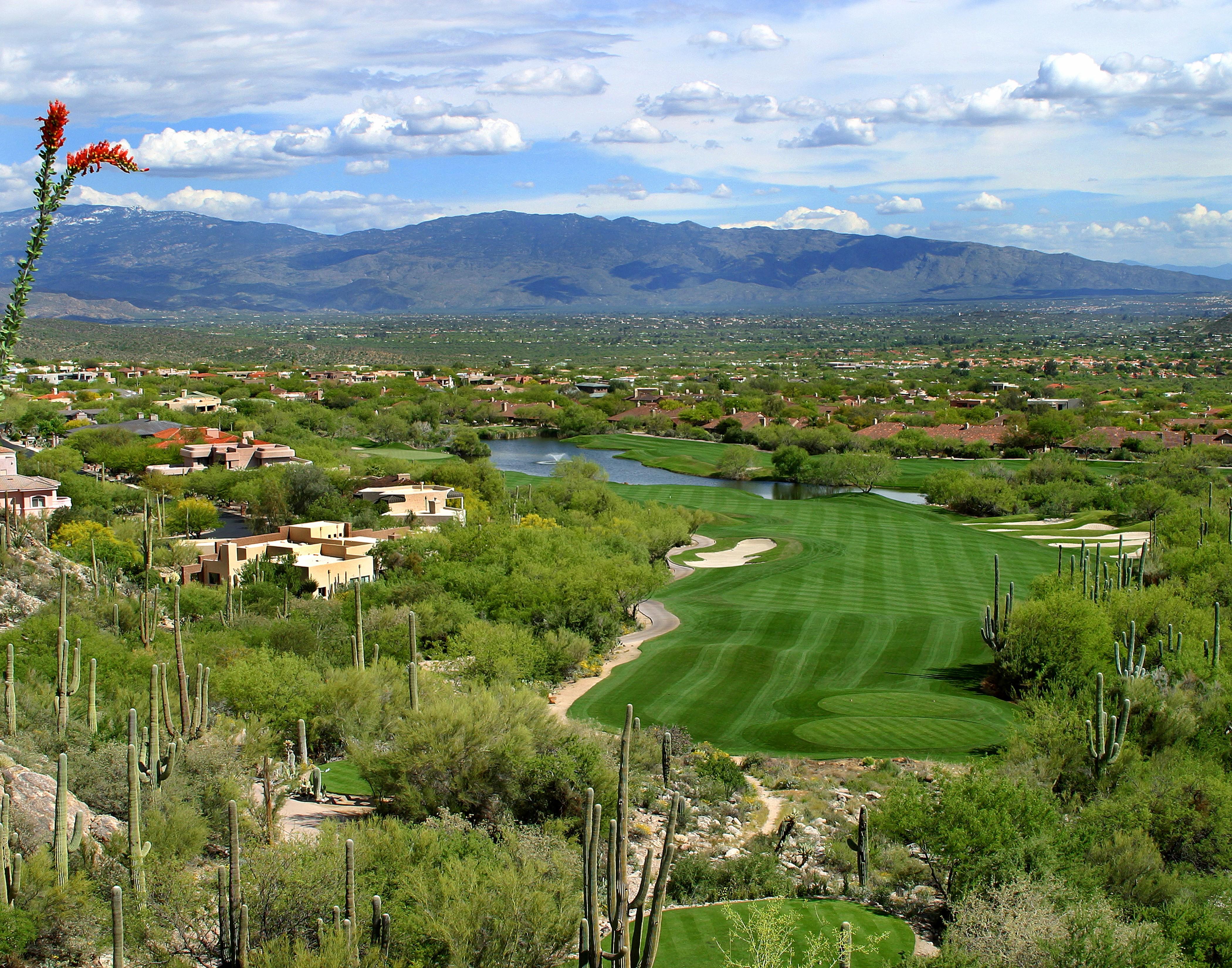 Loews Ventana Canyon 4*