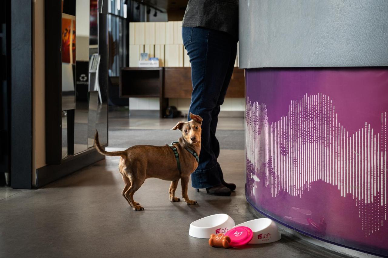 Aloft Hotel 3*