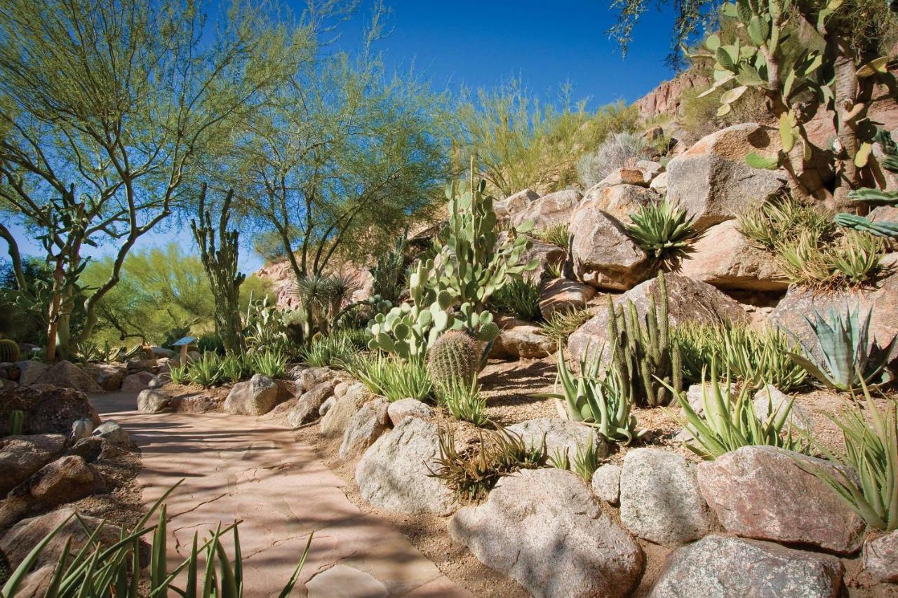 The Canyon At The Phoenician, A Luxury Collection Resort, Scottsdale 5* Paradise Valley