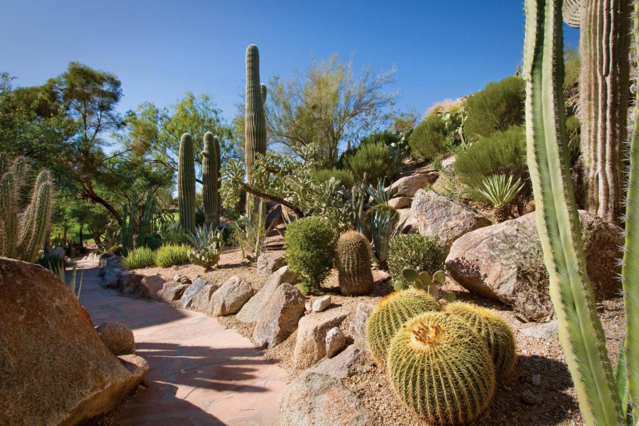 Resort The Canyon At The Phoenician, A Luxury Collection Resort, Scottsdale Paradise Valley