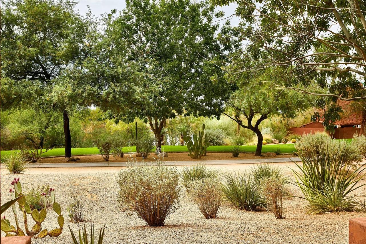 Resort Sheraton Grand At Wild Horse Pass