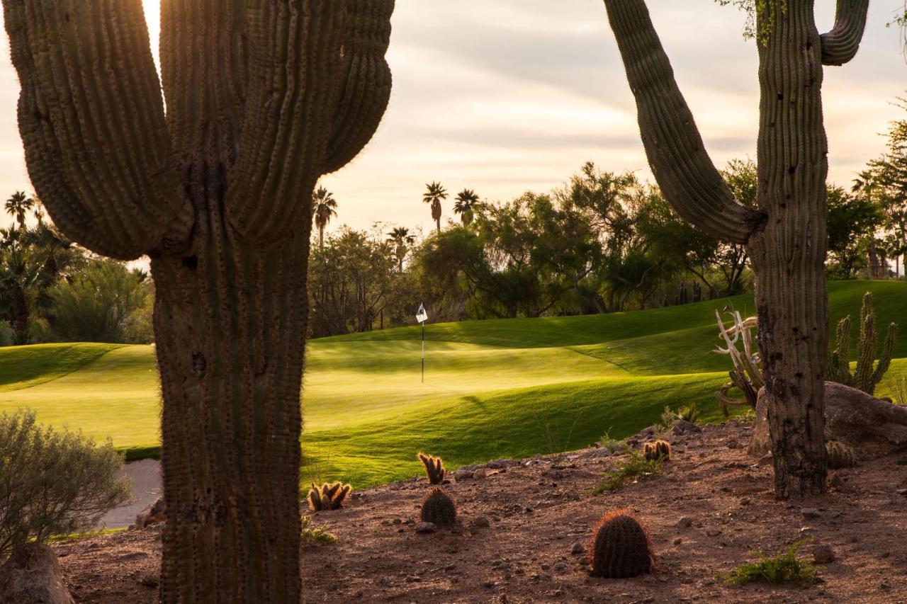 The Canyon At The Phoenician, A Luxury Collection Resort, Scottsdale