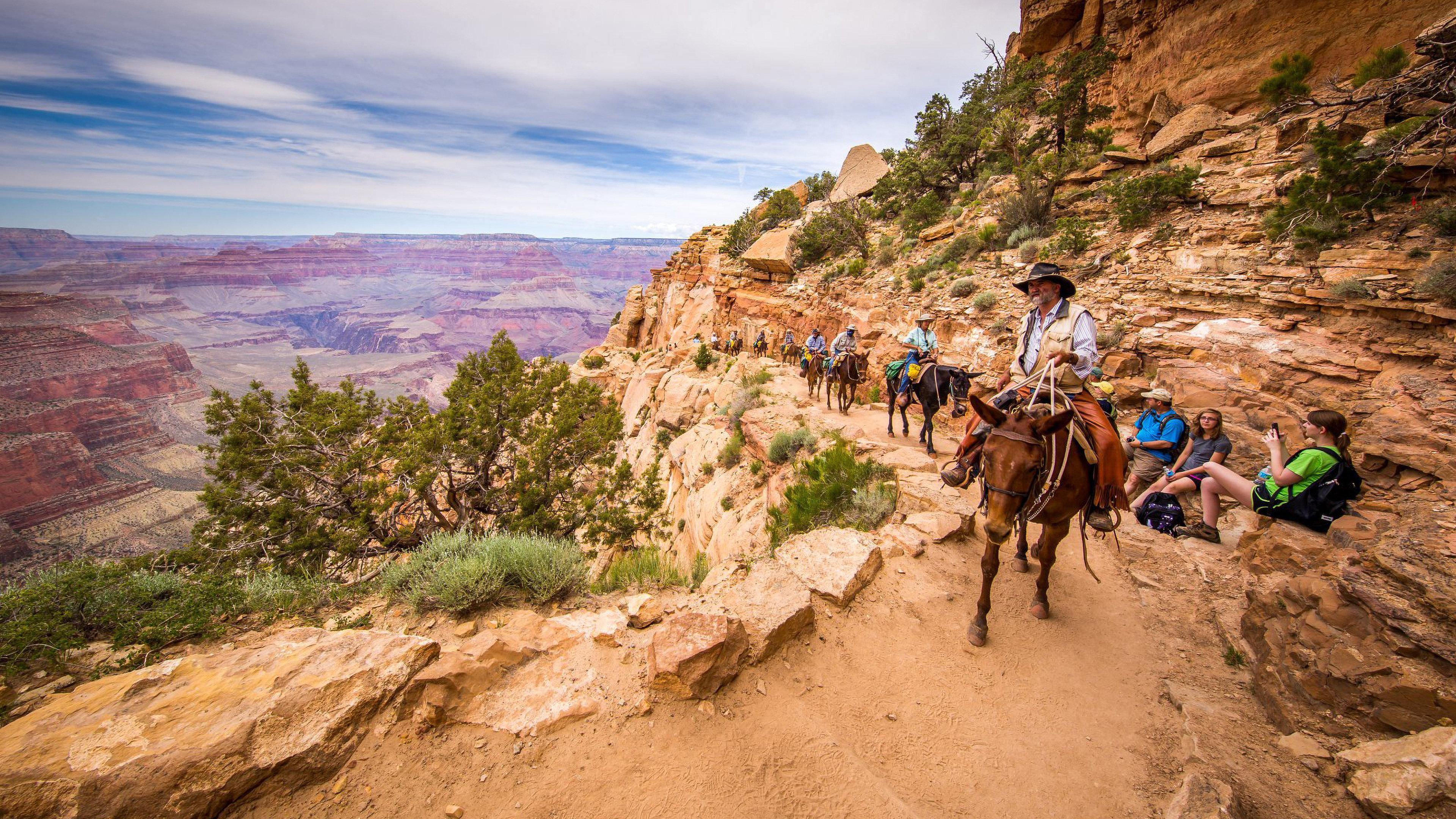 Express & Grand Canyon By Ihg
