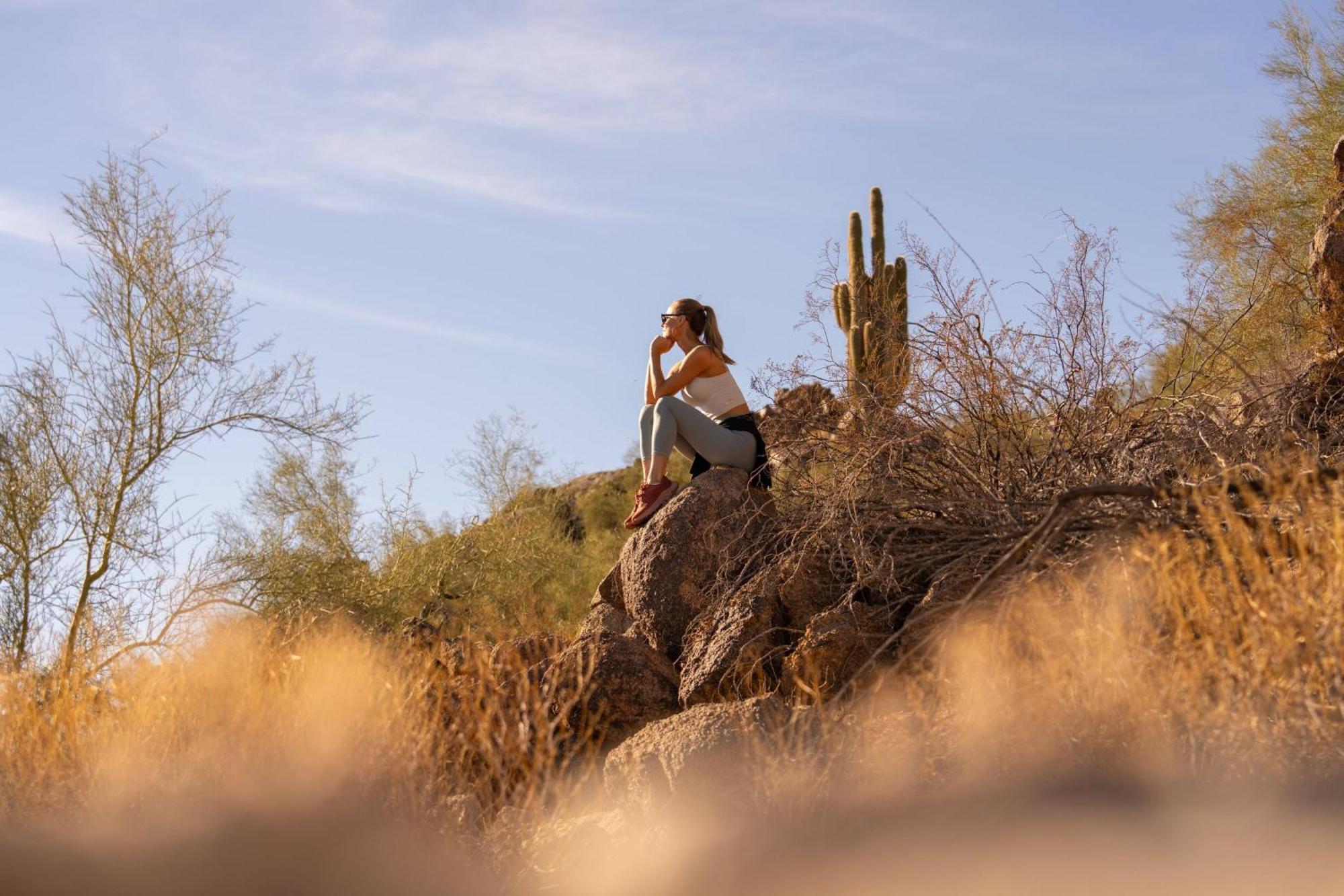 The Canyon At The Phoenician, A Luxury Collection Resort, Scottsdale Resort Paradise Valley