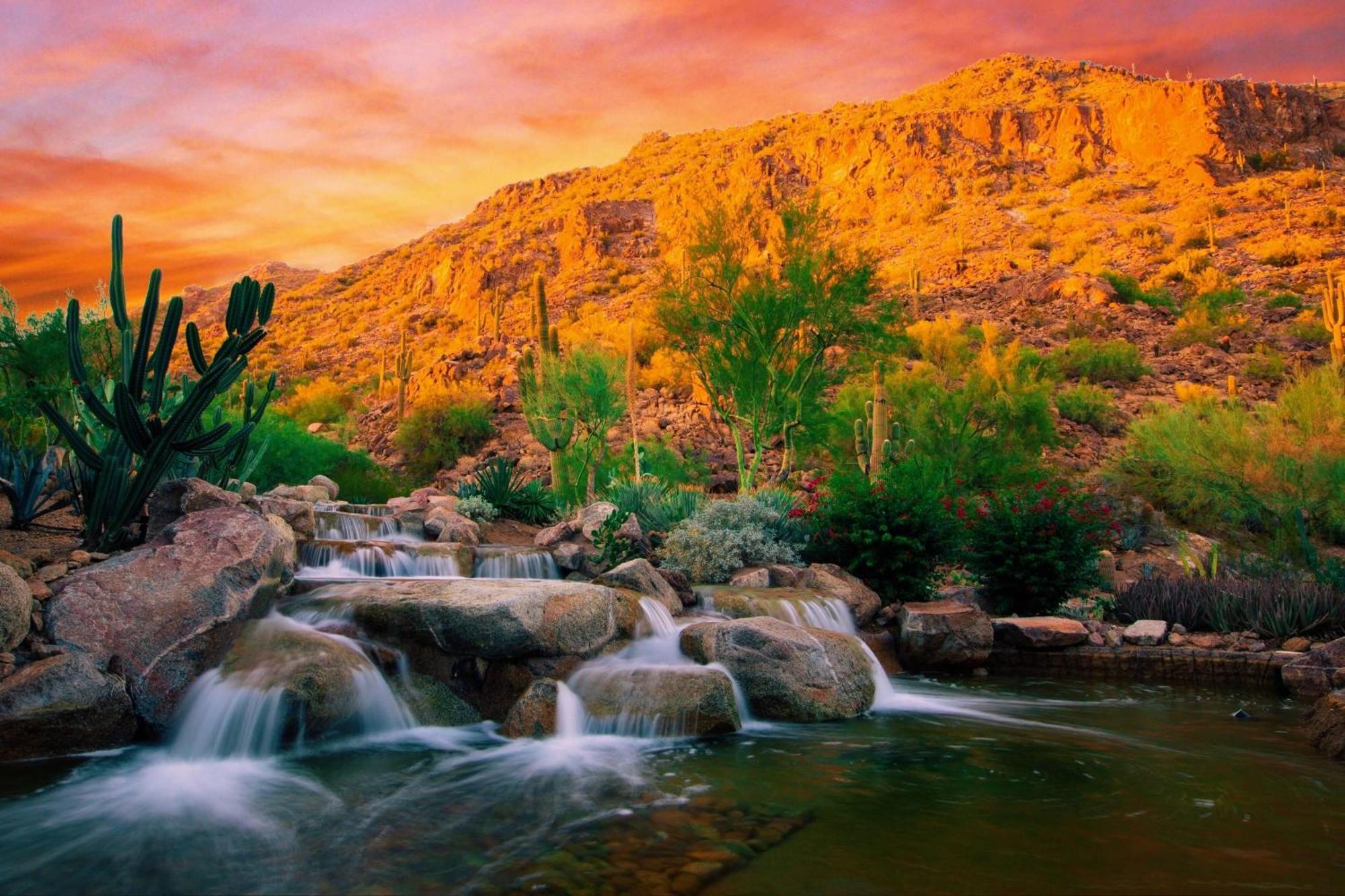 The Canyon At The Phoenician, A Luxury Collection Resort, Scottsdale Resort 5*