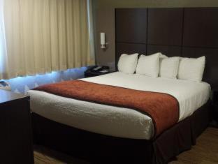 Hotel Western Pony Soldier &