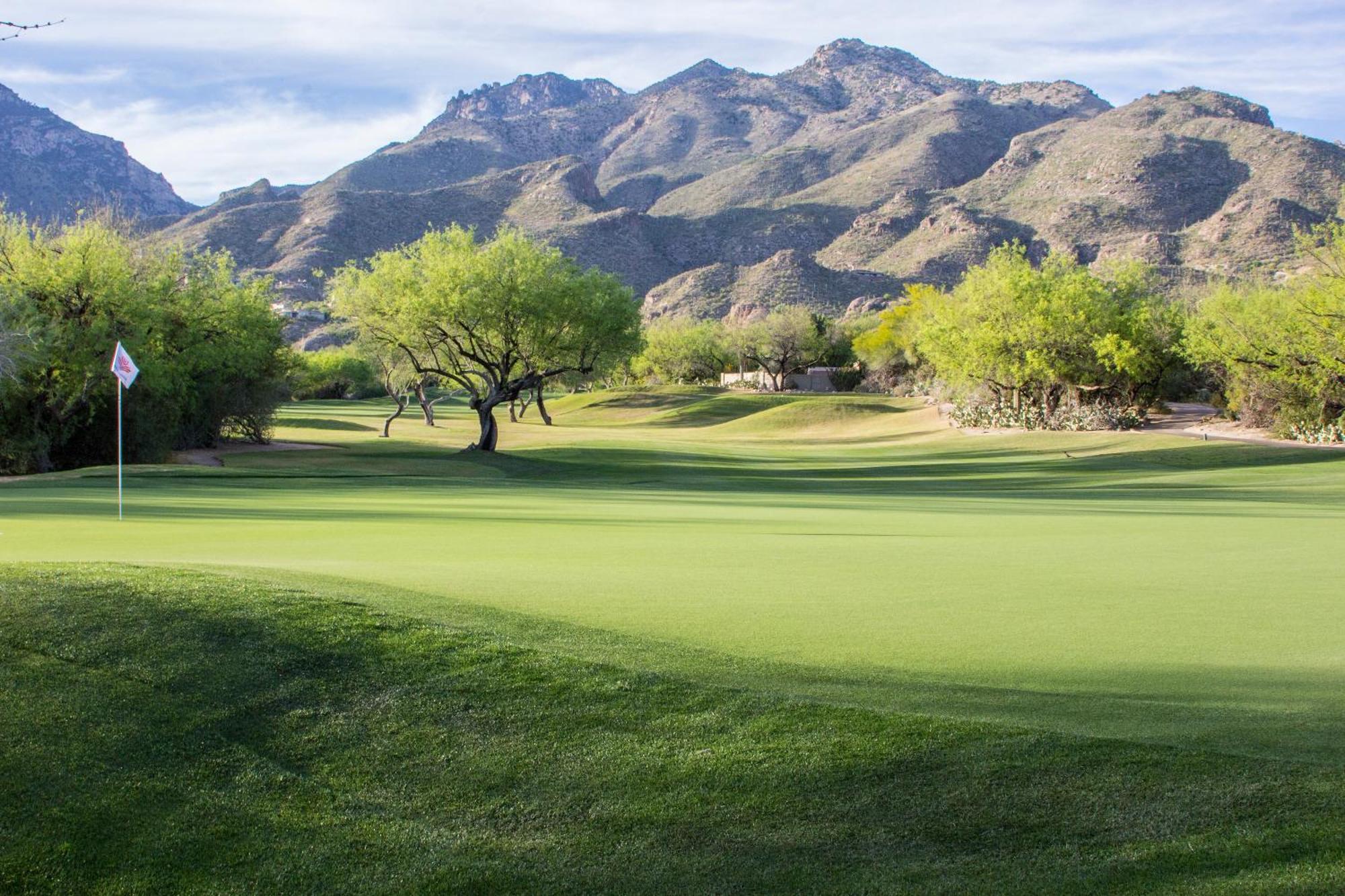 The At Ventana Canyon 4*