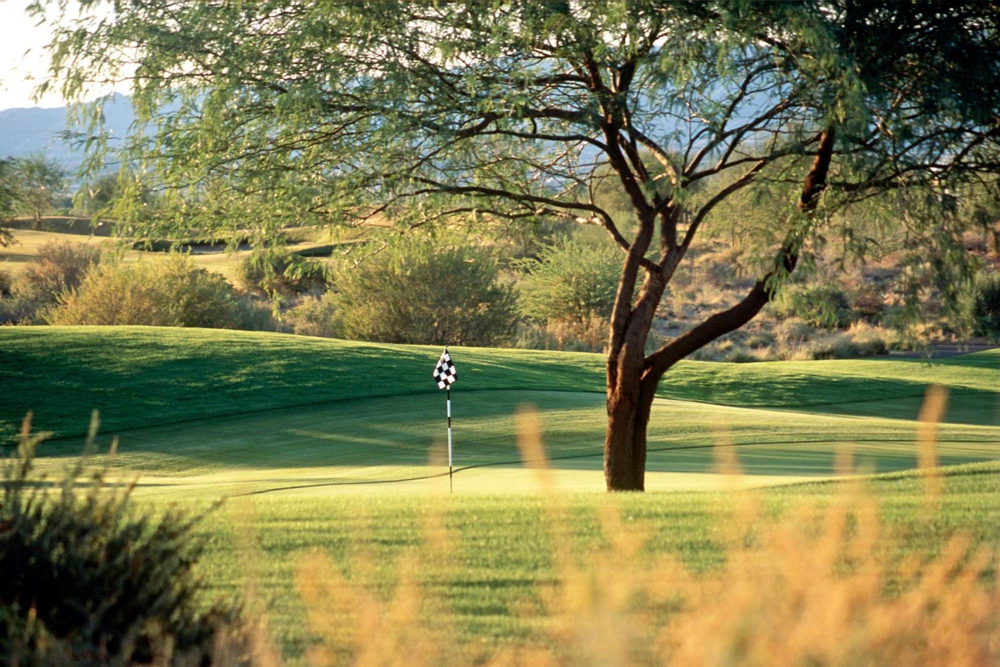 Sheraton Grand At Wild Horse Pass 4* Chandler