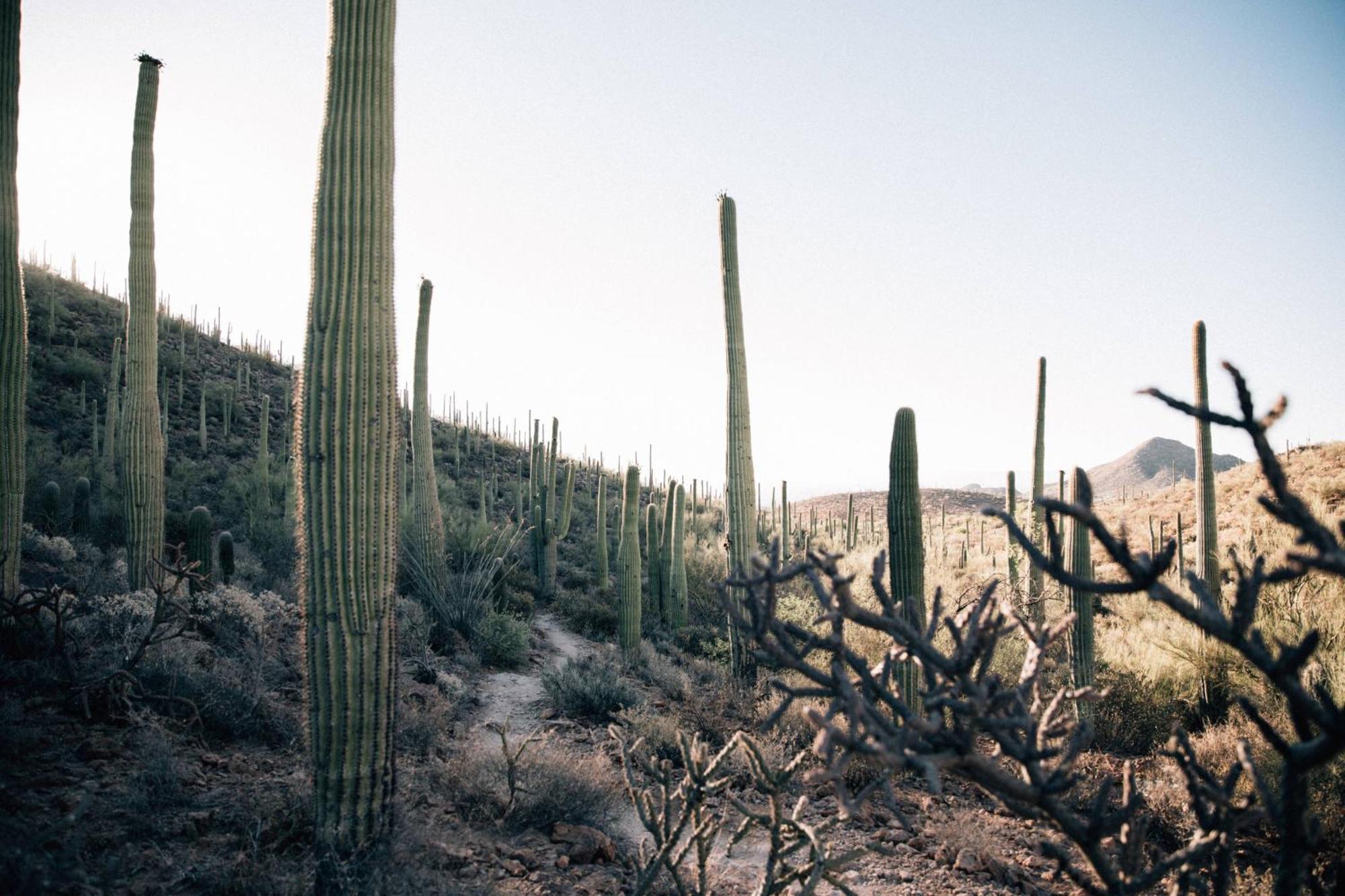 Jw Marriott Starr Pass 5* Tucson