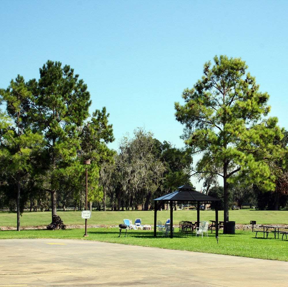 Westgate Painted Mountain Golf Resort 4*
