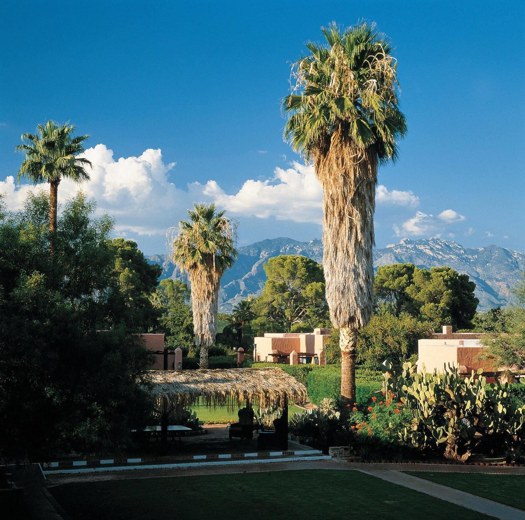 Arizona 4* Tucson