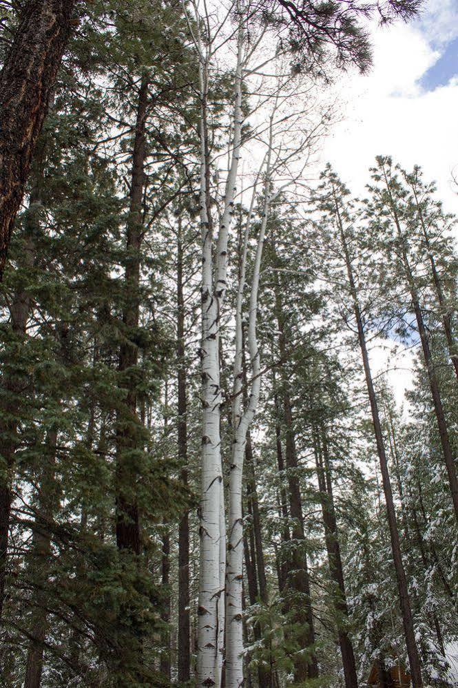Little Colorado 3*