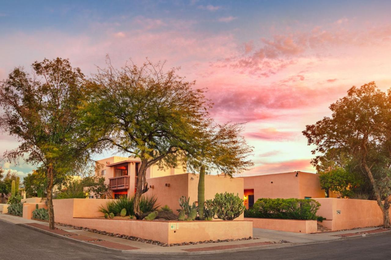 Adobe Rose Tucson