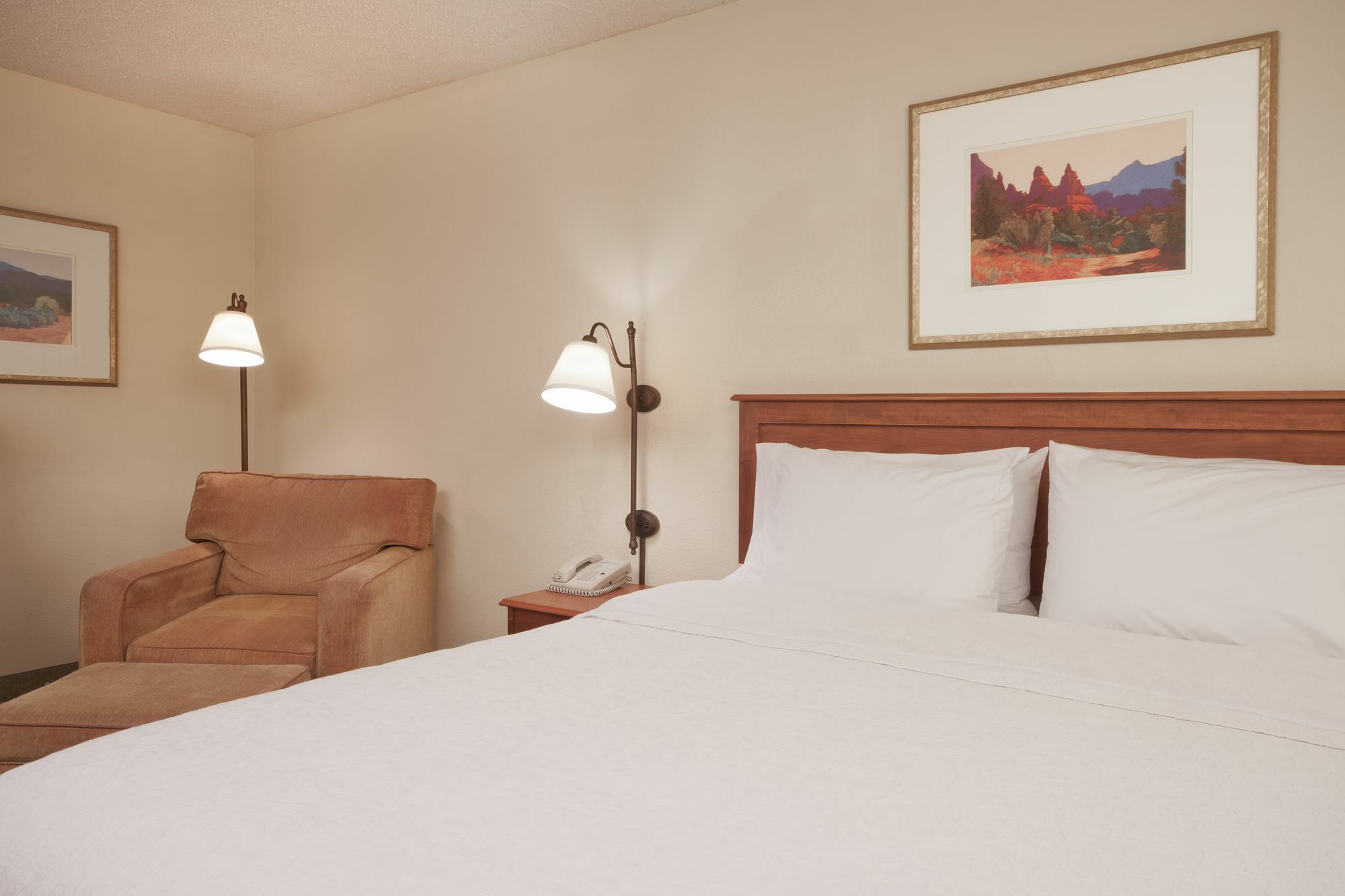 Hotel Hampton Phoenix-chandler