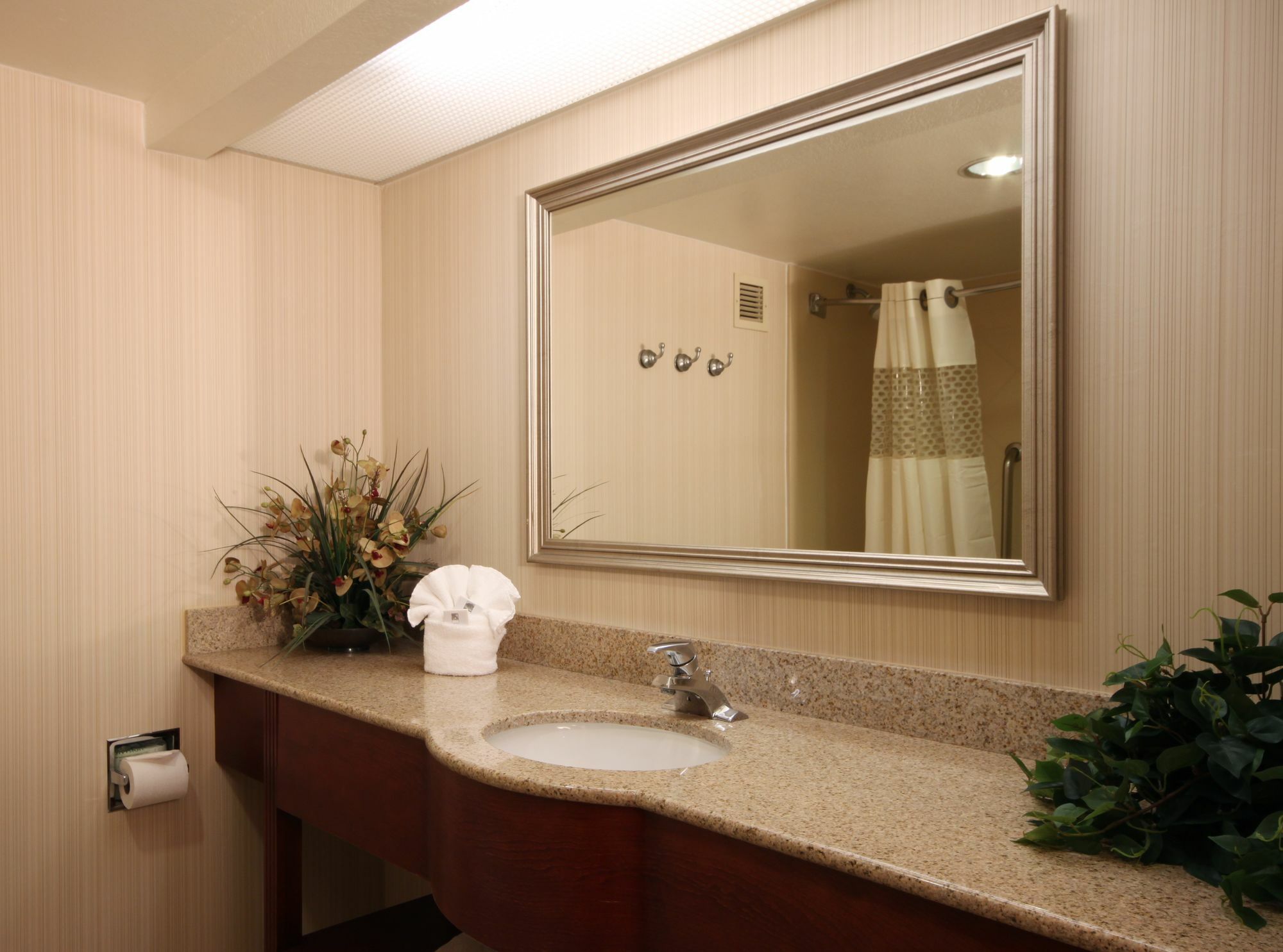 Hampton Phoenix-chandler Hotel