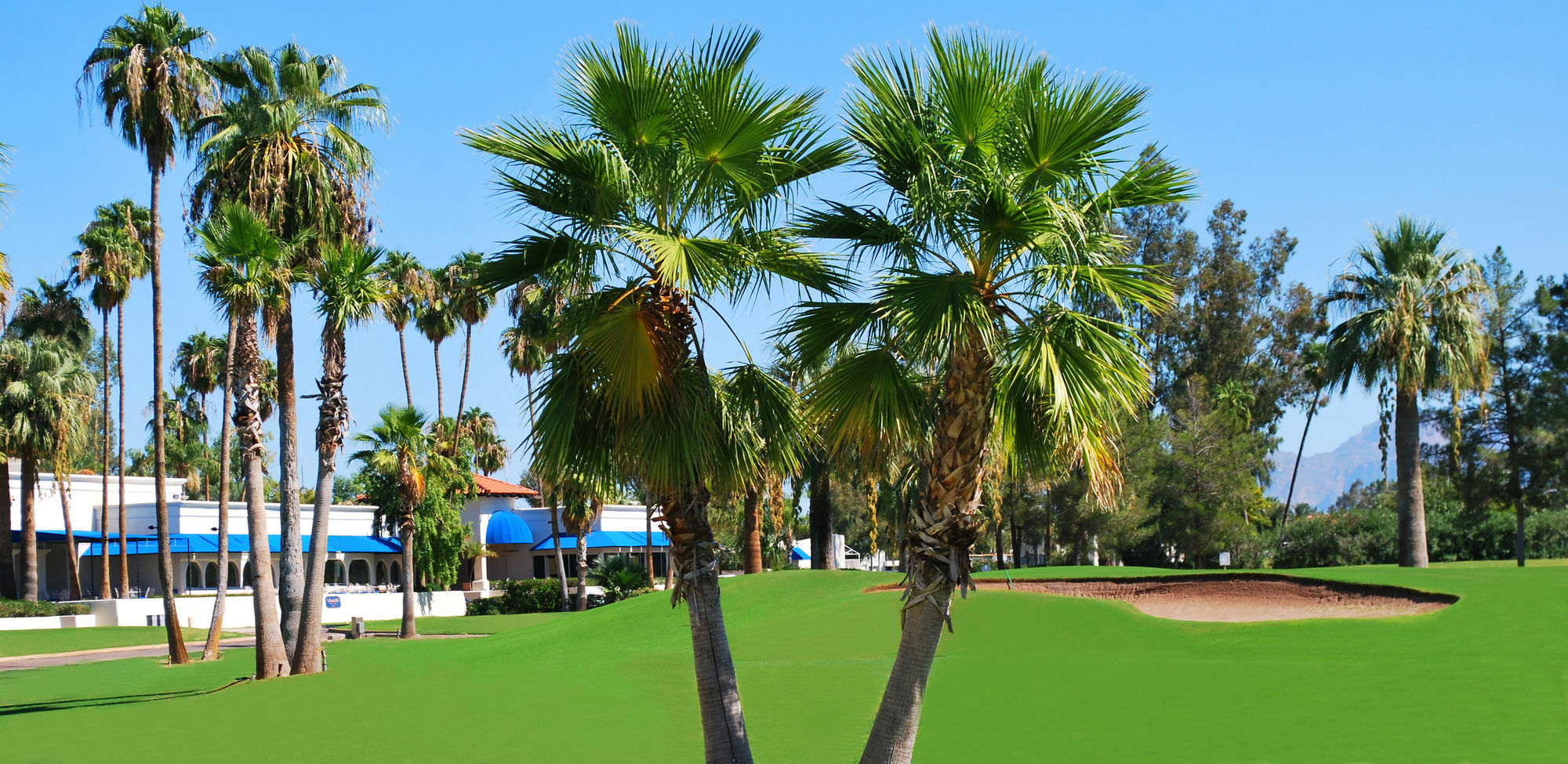 Resort Arizona Golf & Conference Center 4*