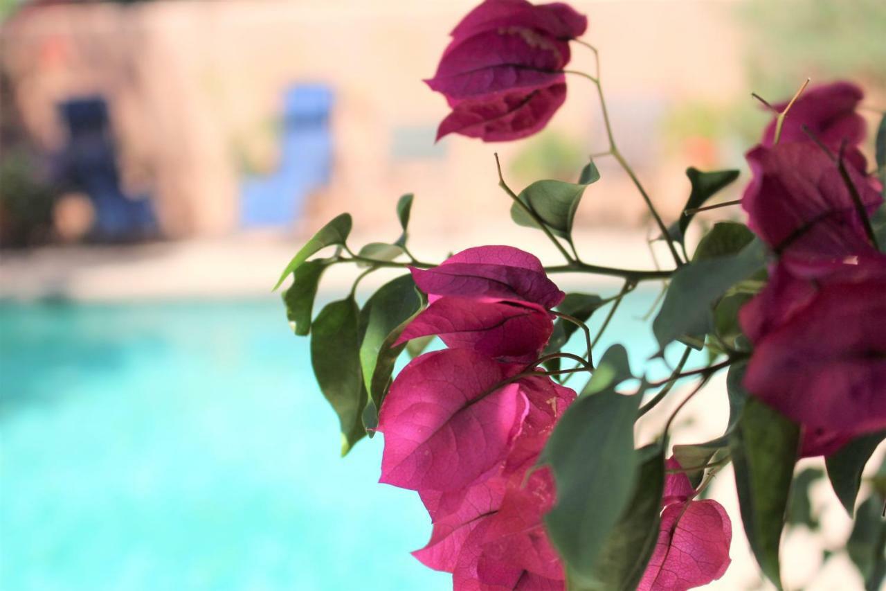 Adobe Rose 3* Tucson